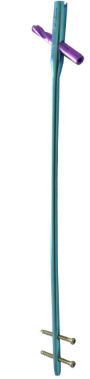 Long PFNA Nail